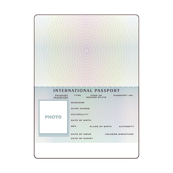 Free Passport Picture Template